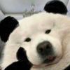 日日日的头像