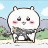 杏木君的头像