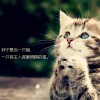 孤狼——独行的头像
