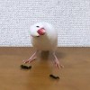 书友758999213的头像