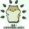 天痕的头像