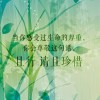 红枫YfY