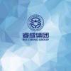睿成财务-C组主办