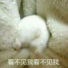 低頭想著誰
