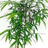 创盈科贸-鲁