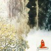 第八大洲