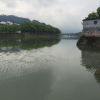 歌舒
