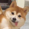 长沙英诺威财务