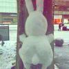 雪落柴扉没深寒