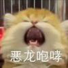 凌希望岳