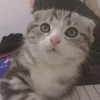 不爱人不碍人i