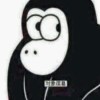 2017款邁騰具體型號的選擇問題