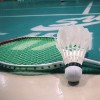 枫叶 报名时间：2023-11-03 19:29