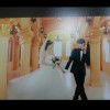 西瓜 报名时间：2022-02-16 13:57