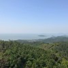 仔仔 报名时间：2019-05-29 11:59