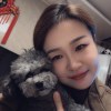 赵、尐彤，发布寻狗启示热爱宠物狗狗，希望流浪狗回家的狗主人。