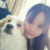 Bonnie Jiang ，发布寻狗启示热爱宠物狗狗，希望流浪狗回家的狗主人。