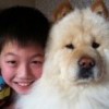 kai~*xin~*，发布寻狗启示热爱宠物狗狗，希望流浪狗回家的狗主人。