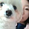 彤❤未мǐn，发布寻狗启示热爱宠物狗狗，希望流浪狗回家的狗主人。