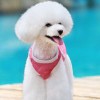 青青湖畔水，发布寻狗启示热爱宠物狗狗，希望流浪狗回家的狗主人。