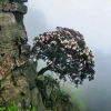 A颗粒机设备
