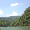 四川小陈