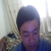 桉树爱恋