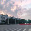 奈宝尼尔