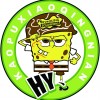 H Y、