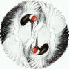 精骛八極