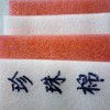 绝顶览山