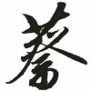 小蔡00