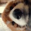 恰好、_____
