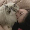 输给了曾经oEver