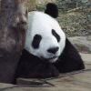 我想静静~