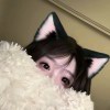 ✿我在时光里听过你