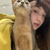 倾音💫木荇子