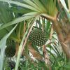 http://q.qlogo.cn/qqapp/101260148/1EDEFAE54A77D1490D44F8E1205D3CD5/100