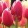 http://q.qlogo.cn/qqapp/101260148/3762DAFCF06D9FCC36793F2DF77E76C3/100