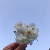 http://q.qlogo.cn/qqapp/101260148/4103CD53CDA4E046282F3F47D87FF9BA/100