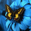 http://q.qlogo.cn/qqapp/101260148/42B5E9F5CBC17007EBB46102548A5484/100