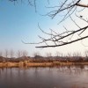 http://q.qlogo.cn/qqapp/101260148/47163D28E55BBBB91BA64BFAB91C13BC/100