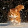 http://q.qlogo.cn/qqapp/101260148/5E6FE96BAEDBE1B4D8C150536C4627F6/100
