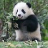 http://q.qlogo.cn/qqapp/101260148/76DB6CE998C50F706BE680128B495106/100