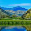 http://q.qlogo.cn/qqapp/101260148/8A39210D1DC91CD0084851F3ADCD4E33/100