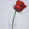 http://q.qlogo.cn/qqapp/101260148/9B67D7D18889E0C3650775BD0658D344/100