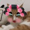 http://q.qlogo.cn/qqapp/101260148/A1D0ECD0E857EA9F40C15C01F48A671B/100