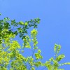 http://q.qlogo.cn/qqapp/101260148/A6934BA1F0E9746FE8A508859B3A6F57/100