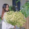 http://q.qlogo.cn/qqapp/101260148/AB864B1C8D6768F84B23C73DA8845060/100