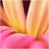 http://q.qlogo.cn/qqapp/101260148/B2599FE058B4EED918168DA792317C4D/100